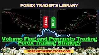 Volume Flag and Pennants Trading Forex Trading Strategy