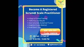 Scrum@Scale Practitioner