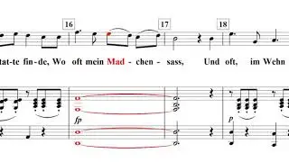 An den Mond D-193(달에게)-Franz Schubert