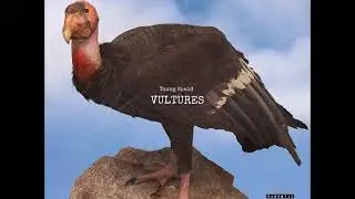 Young Spaid - Vultures (Prod By. Young Spaid)