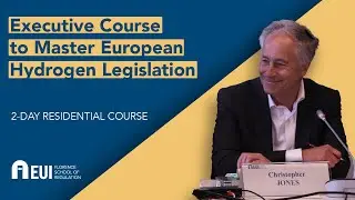 Executive Course to Master European Hydrogen Legislation