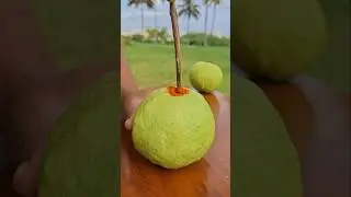 Spicy Guava 🤤 Chilli Guava