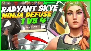 VALORANT EN İYİ NİNJA DEFUSE - RADİANT DESTEK SKYE OYNAYIŞ (Dereceli)