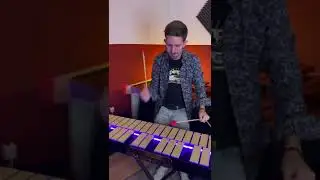 Bad Guy - Billie Eilish Xylosynth Cover