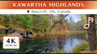 Dreamy Fall (Autumn) Day With Music Ambience | Kawartha Highlands
