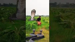 Kolar bagane snake Hara Hara shambhu snake video sap