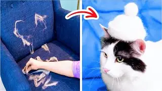 GENIUS PET GADGETS AND HACKS FOR YOUR FLUFFIES