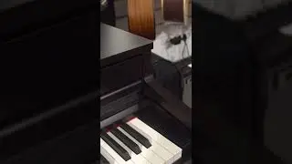 Внешний вид пианино kawai ca-49 | piano.by