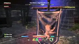 The Elder Scrolls Online: mercenary duo 2