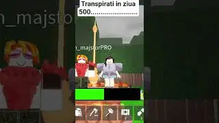 am facut 800 zile era sa le intrev pe care le aveam