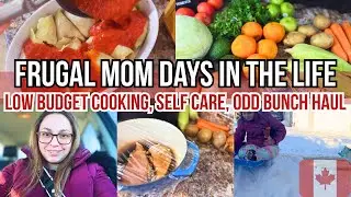 Frugal Homemaker | From Scratch Healthy Meals | Mom on a Tight Budget in Canada 