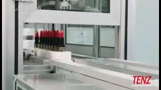 TENZ Lipstick Production Line