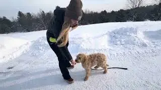 Видео Джейми 