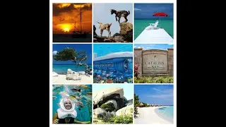 DeiaMo Paradiso Presents 8 Days Aruba Tour.
