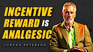 Incentive Reward Is Analgesic (Self Improvement For Men) - Jordan Peterson Motivation