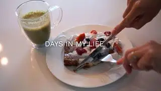 Days In My Life: Rug Cleaning, Nutella French Toast, Matcha Espresso Latte & Dinner with Friends