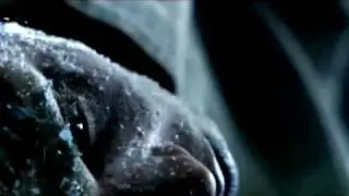 Polarkreis 18  - The Colour of Snow (Offizielles Video)