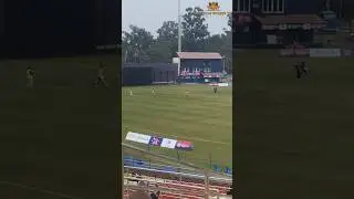 Netherlands girls are in to chase the target against USA #iccwomenst20worldcup2026 #npswomenscricket