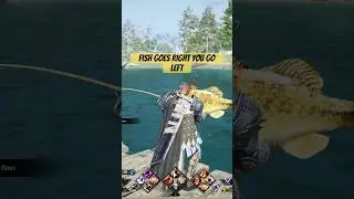 Throne liberty beginner guide to Fishing #pov#console#xbox#throneandliberty#gaming