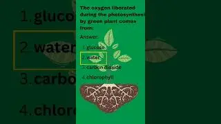 Photosynthesis class-10 |Hots🔥questions, #biologynotes#plants  #biologydiagrams #lifeprocessclass10
