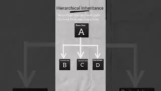 Hierarchical inheritance in cpp|inheritance in c++.