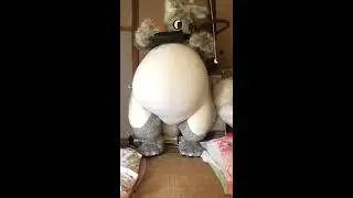 シクラ インフレーション3 fursuit inflation
