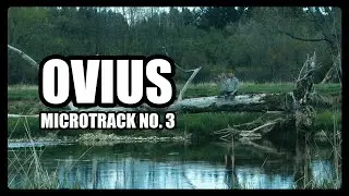 Ovius | Brad Eaton | Microtrack No. 3