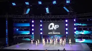 22 ARTE RADICAL JAZZ INFANTIL ELITE