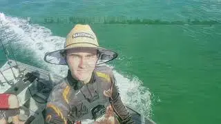 pumicestone passage fishing
