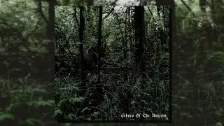Coven Of The Swamp - Echoes Of The Ancient (Full Album)