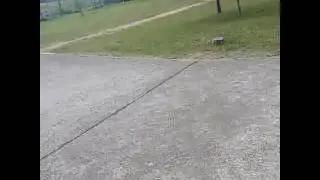 Uptown skaters