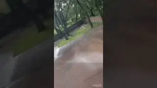 Roof Cleaning Transformation 😳 | Soft Wash Before & After | Pensacola FL
