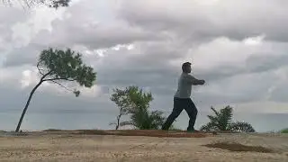 Taichi Yang Style 8 form 