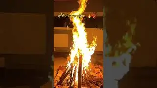 Bhogi Mantalu🔥#festival #ytshorts