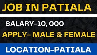 private job in patiala | Jobs in patiala city | Patiala jobs