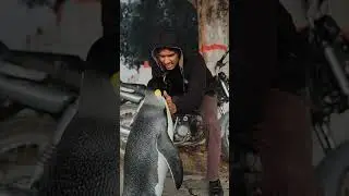 paltu hai 💗💗💪