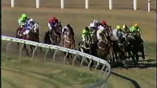 1991 Warwick Stakes - Super Impose