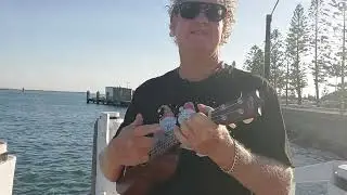 Martin soprano ukulele Newcastle Harbour