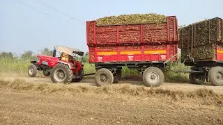 हाथी जैसी ताकत है इसमेंMahindra Arjun 605 full load trolley sugar khet se khincha bahar