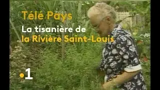ARCHIVE JT - La tisani&egrave;re de la Riviere Saint Louis