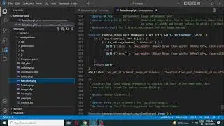 Remove Website Field From Comment Form in WordPress