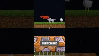 100 Insane Minecraft Experiments! @Bubuplayz