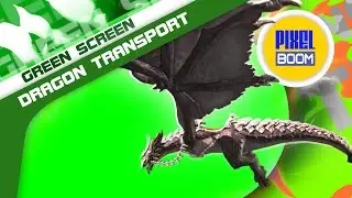 Green Screen Dragon Transport with Armor Flies - Footage PixelBoom