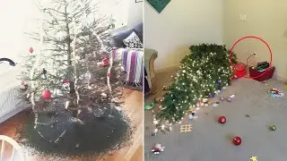 10 Hilarious Christmas Tree Fails This Year