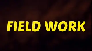 What Does FIELD WORK  Means || Meanings And Definitions in ENGLISH