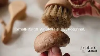 Small-Batch Wholesale for Sustainable Retail | Natural by Hillbrush