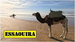 2025 morocco 🇲🇦 #2 (essaouira)