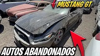 AUTOS ABANDONADOS DE SUBASTA (COPART) MUSTANG GT EN LA SUBASTA DE AUTOS USA