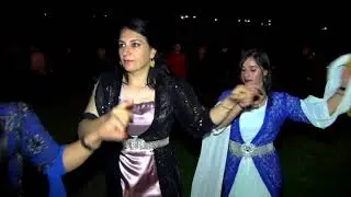 Cizre düğünleri: Cihan Sarıyıldız düğünü 1