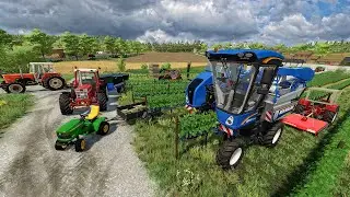 Vendange des RAISINS ! Mise en palox & mini tracteurs en action | Farming Simulator 22